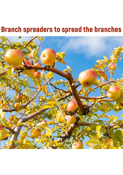 24 Adet Meyve Ağacı Dal Yayıcı 10 Inç Ağaç Dalı Çıkarıcı Yayıcı (Yurt Dışından) fırsatları