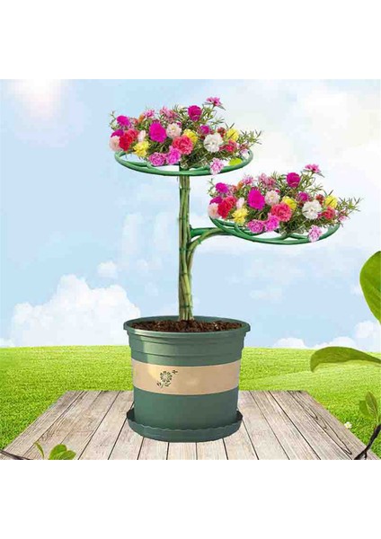 2'li Ayçiçeği Çiçek Destek Standı Iki Katmanlı Bitki Destek Rafı (Yurt Dışından) modelleri