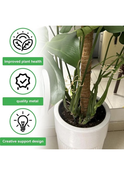 Adet Bitki Gövde Desteği, Metal Monstera Bitki Desteği, (Yurt Dışından) modelleri