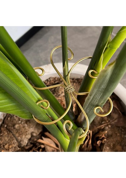 Adet Bitki Gövde Desteği, Metal Monstera Bitki Desteği, (Yurt Dışından) indirimleri