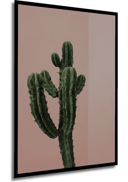 Dekoratif Ahşap Dikdörtgen Tablo Yeşil Kaktüs Çerçeve Görünümlü modelleri