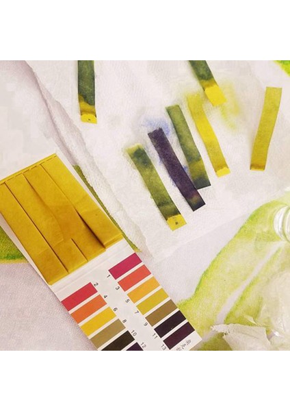 6 Paketler 480 Pcs Ph Test Şeritleri Ph Aralığı 1-14 Tuzlu Tuzlu Tuzlu Tuzlu Kağıt, Su, Toprak Testi, Pet Kozmetik, Gıda Ph Testi (Yurt Dışından) indirimleri