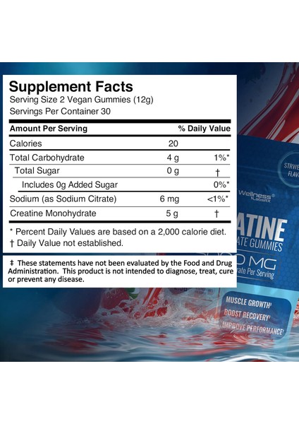 Wellness Labs Creatine Monohydrate Muscle Gh Strength Recovery 5000MG 60 Gummies modelleri