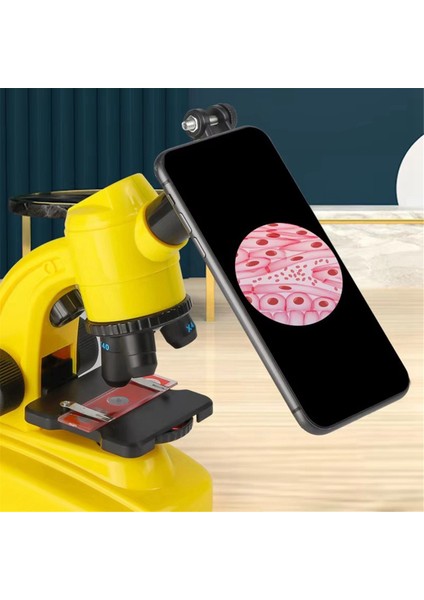 Mikroskop Kiti Laboratuvarı Biyolojik Yüksek Güçlü Mikroskop Oyuncak Çocuk Ev Okulu Bilimleri Deney Hediyeleri (Yurt Dışından) fırsatları