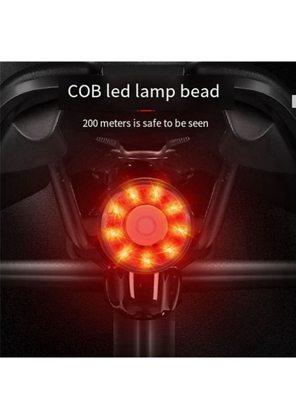 Batı Bisikleti Bisiklet Renkli Kuyruk Işıkları Renkli Akıllı Kuyruk Işıkları C Tipi Alüminyum Alaşım Kuyruk Işıkları Uyarı Kuyruk Işıkları (Yurt Dışından) indirimleri