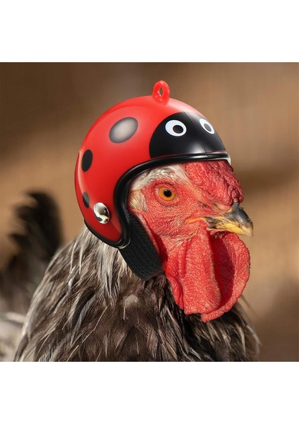 Mini Kask Koruma Tavuk Kask Tavuk Şapka Kuş Şapka Başlık Evcil Hayvan Malzemeleri Şapka (Yurt Dışından) fiyatları