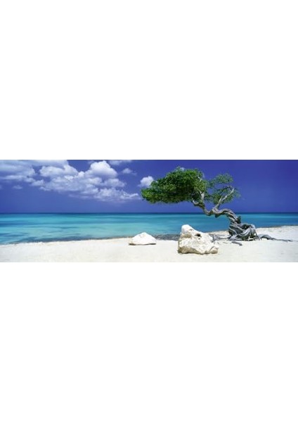 Puzzle 1000 Parça Divi Divi Tree HEY29399 modelleri