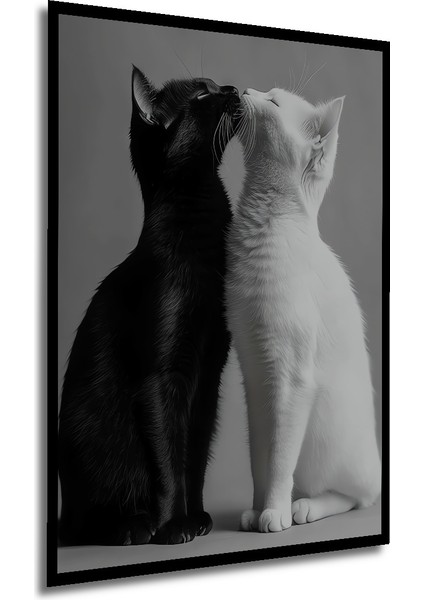 Çerçeve Görünümlü Siyah Beyaz Aşk Kedisi Dekoratif Ahşap Mdf Tablo Dikdörtgen Tablo modelleri