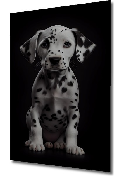 Çerçeve Görünümlü Dalmaçyalı Yavru Köpek Ahşap Mdf Dekoratif Tablo Dikdörtgen Tablo fiyatları