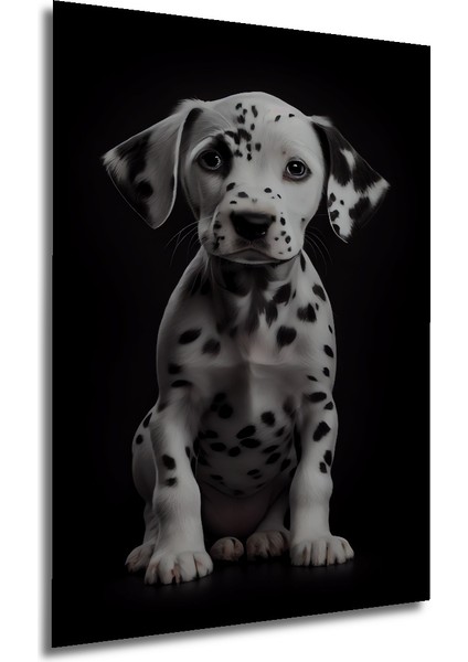 Çerçeve Görünümlü Dalmaçyalı Yavru Köpek Ahşap Mdf Dekoratif Tablo Dikdörtgen Tablo modelleri