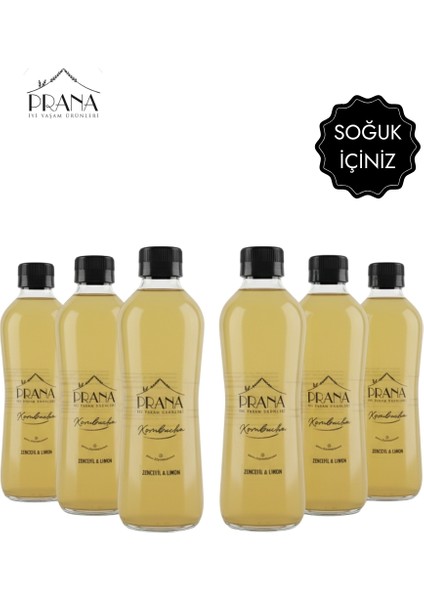 Kombucha Zencefil & Limon - 6*330ml - Fermente Probiyotik İçecek fiyatları
