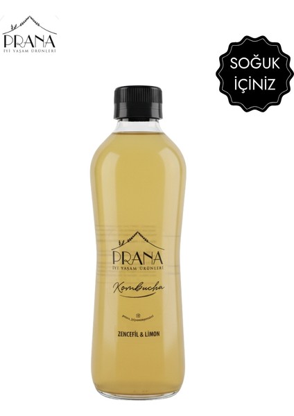Kombucha Zencefil & Limon - 6*330ml - Fermente Probiyotik İçecek fırsatları