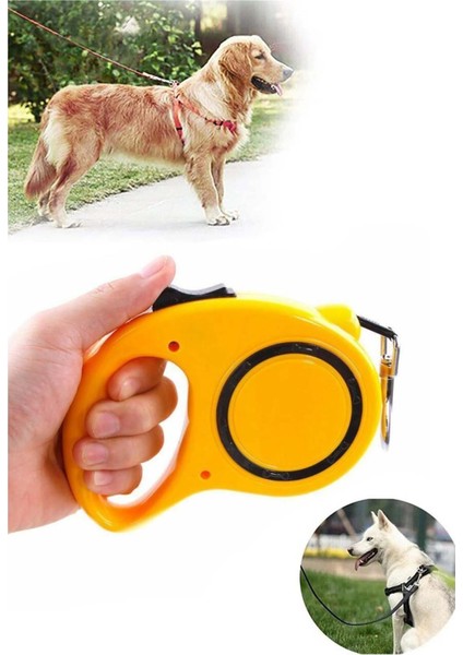 Otomatik Makaralı Evcil Hayvan Tasması 3 Metre - Köpek Gezdirme Geri Çekilebilen Tasma