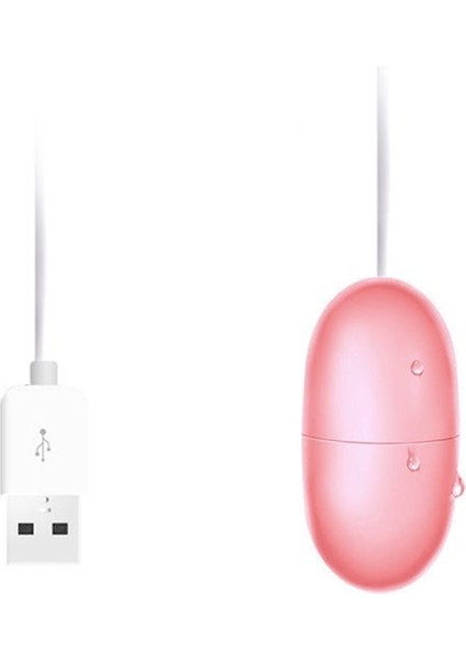 Titreşimli Masaj Ürünleri (Yurt Dışından)