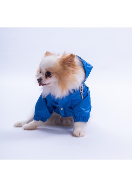 Mavi Pluvia V25 Köpek Mont Köpek Yağmurluk Köpek Kıyafeti Köpek Elbisesi
