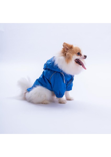 Mavi Pluvia V25 Köpek Mont Köpek Yağmurluk Köpek Kıyafeti Köpek Elbisesi modelleri