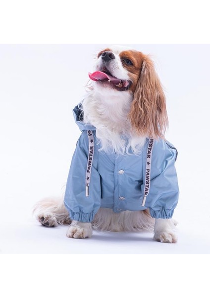 Gri Pluvia V25 Köpek Mont Köpek Yağmurluk Köpek Kıyafeti Köpek Elbisesi modelleri