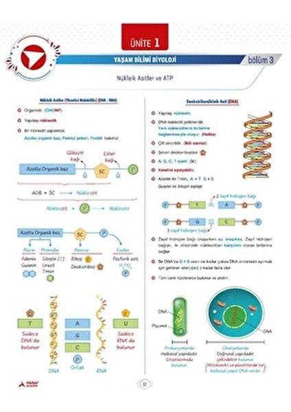 TYT Fen Bilimler Garanti Konular Soru Bankası Normal Boy 2025 Yılı İçin indirimleri