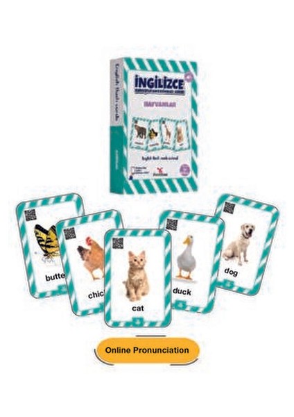 İngilizce Kelime Kartları 1. Sınıf Eğlenceli Öğrenme Seti 96 Adet