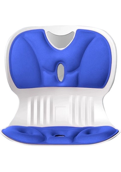 Ergonomik Oturma Pozisyonu Düzeltildi (Yurt Dışından)