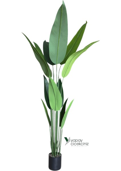 180 cm Boyunda 14 Dallı Lüks Yoğun Starliçe Ağacı fırsatları