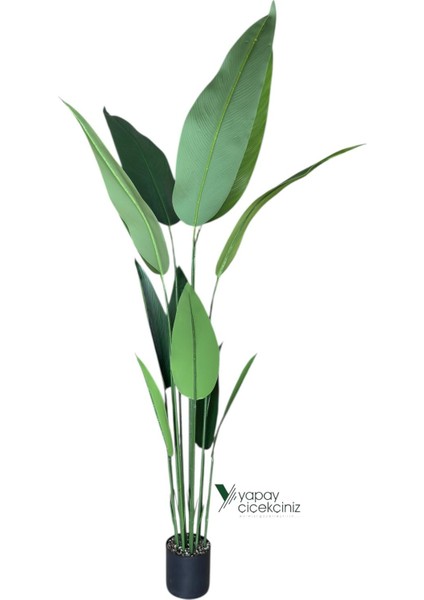 180 cm Boyunda 14 Dallı Lüks Yoğun Starliçe Ağacı indirimleri