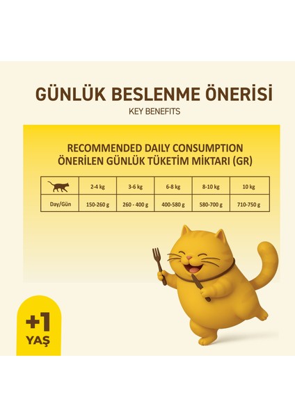 Tavuklu Yaş Konserve Yetişkin Kedi Maması, Jöle Içinde Parça Etli, 400 gr x 12 Adet