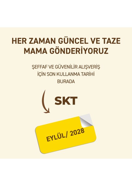 Tavuklu Yaş Konserve Yetişkin Kedi Maması, Jöle Içinde Parça Etli, 400 gr x 12 Adet