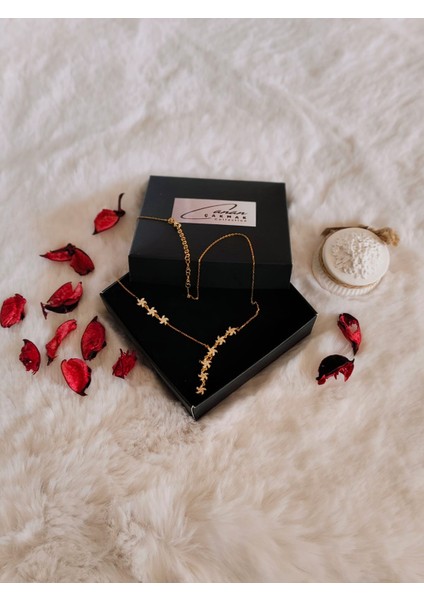 Gümüş Zirkon Taşlı Denizyıldızı Y Kolye