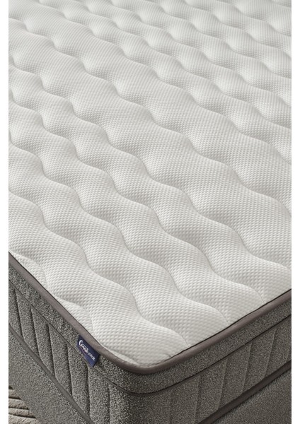 Fokus Model Çift Kişilik Ortopedik Yatak Estetik Tasarım, Ortopedik Destek fırsatları