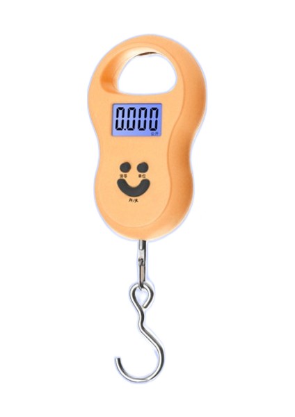 Taşınabilir Ev El No (Yurt Dışından)