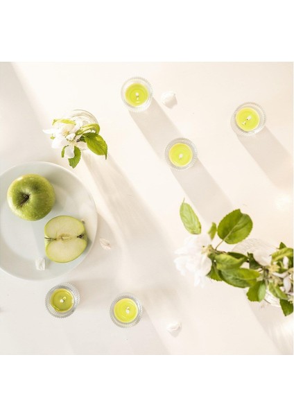 Lövskogslund Kokulu Tealight Mum Açık Yeşil 3.5 Saat Elma fiyatları