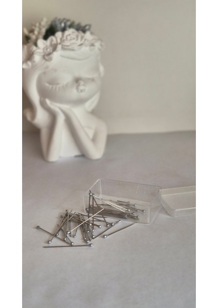 100 Adet Toplu Iğne