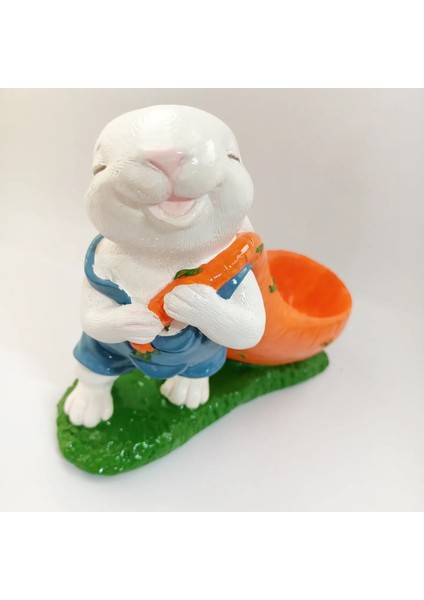 Havuç Sürükleyen Tavşan Saksı fiyatları