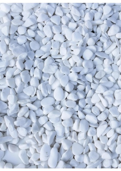 Beyaz Dolomit Taş 2-4 cm Dere Çakıl Taşı | Bahçe, Saksı, Teraryum ve Akvaryum Süs Taşı 0,50 kg