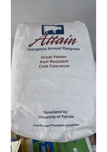 Reygras (Ryegrass) Süt Otu 25 kg