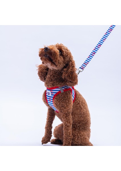 Sailor Mates Göğüs Tasması ve Sevk Kayışı Tasma Seti Çapa Kedi Köpek Göğüs Tasması Seti indirimleri