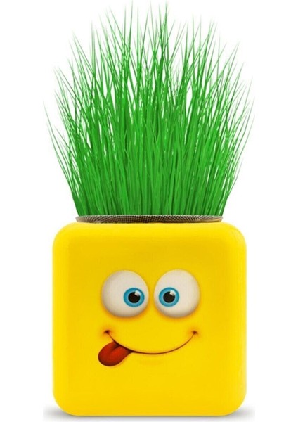 Çimoji 4 Figürlü Emoji Küp Çim Adam modelleri