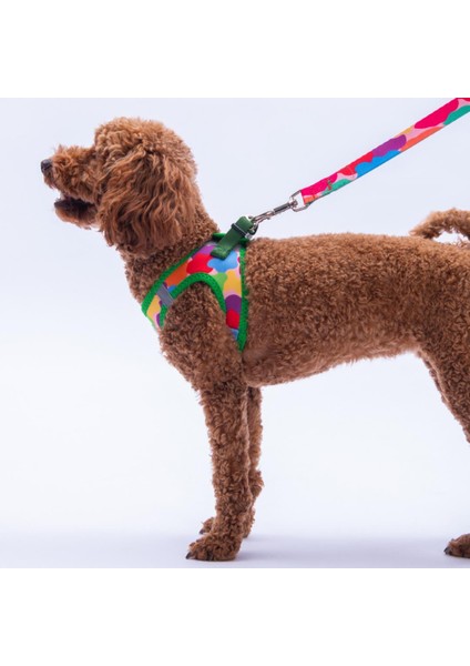 Rainbow Crew Göğüs Tasması ve Sevk Kayışı Tasma Seti Renkli Kedi Köpek Göğüs Tasması Seti fiyatları