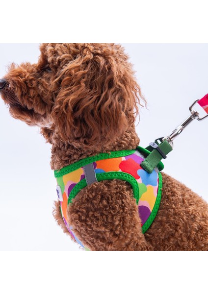 Rainbow Crew Göğüs Tasması ve Sevk Kayışı Tasma Seti Renkli Kedi Köpek Göğüs Tasması Seti fırsatları