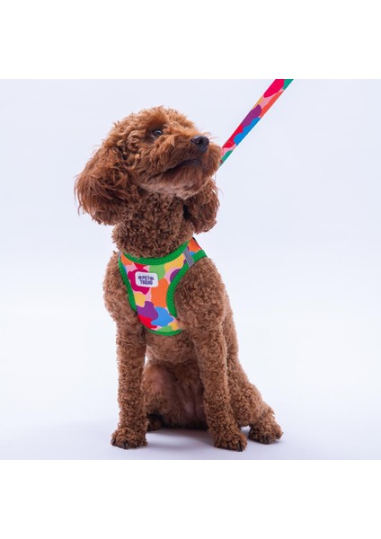 Rainbow Crew Göğüs Tasması ve Sevk Kayışı Tasma Seti Renkli Kedi Köpek Göğüs Tasması Seti indirimleri