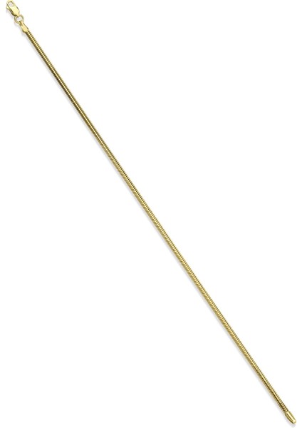 14 Ayar Altın İtalyan Balıksırtı Bileklik