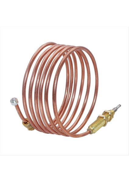 Barbekü Izgarasında Kullanılan Evrensel Gaz Termokupl Uzunluğu Veya Ateş Çukuru Isıtıcı Gaz Su Isıtıcısı M8X1 Uç Somun ve Kafa Ucu 150CM (Yurt Dışından) fırsatları