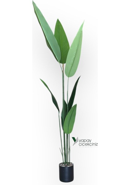 180 cm 7 Dallı Lüks Islak Dokulu Starliçe Ağacı fırsatları