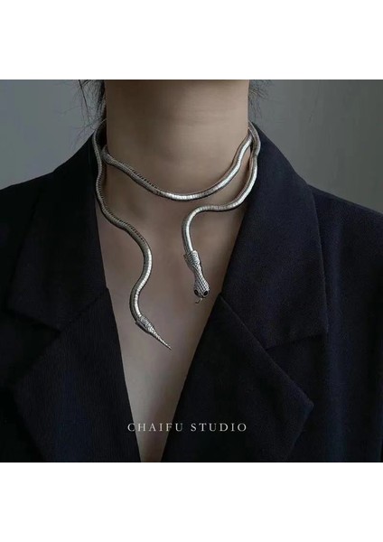 Ürün Z珠宝rli, Isteğe Bağlı Şekilli Yılan Kolye (Yurt Dışından) modelleri