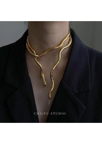 Ürün Z珠宝rli, Isteğe Bağlı Şekilli Yılan Kolye (Yurt Dışından) fırsatları