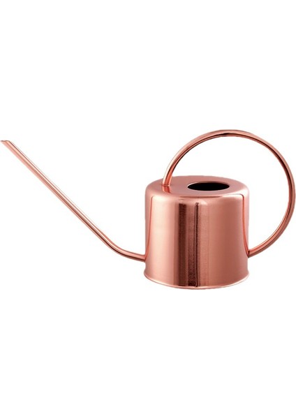 Paslanmaz Çelik Sulama Kayıtıcısı Ev Bahçe Su (Yurt Dışından)