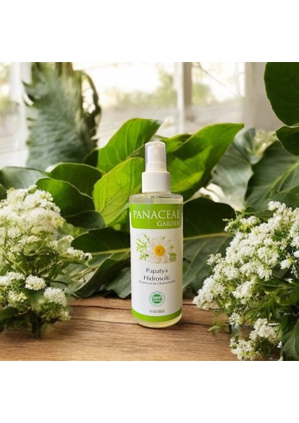 Papatya Hidrosolü 200 ml