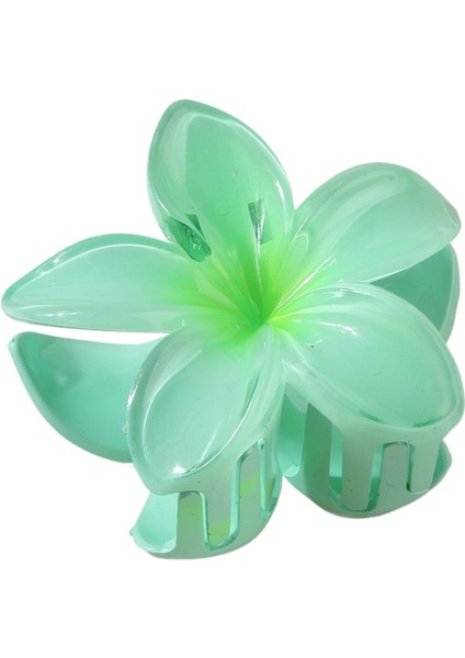 Yeni Renkli Frangipani Köpekbalığı Klip Saç Tokası (Yurt Dışından)