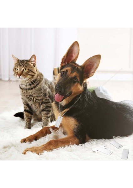 Dikdörtgen Damgalama Boşluklar Metal Damgalama Boşlukları Alüminyum Köpek Etiketleri Dıy Sanat El Sanatları Leri Için Delikli Etiket Anahtarlık (Yurt Dışından) indirimleri